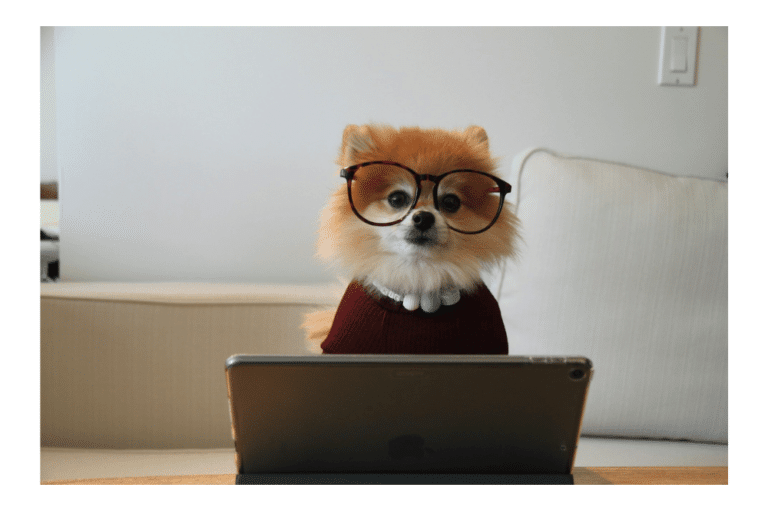 Seven ways to pave your way to a media or advertising career